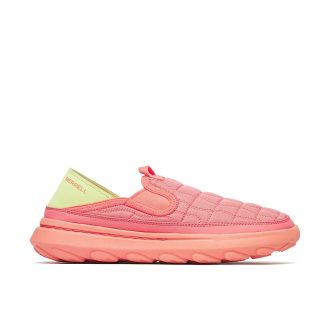 Damhut Moc 2