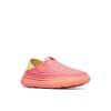 Damhut Moc 2