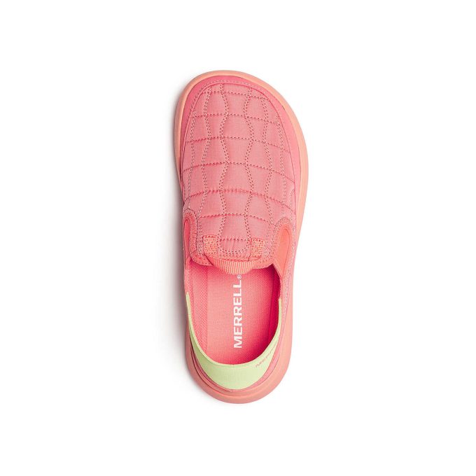Damhut Moc 2