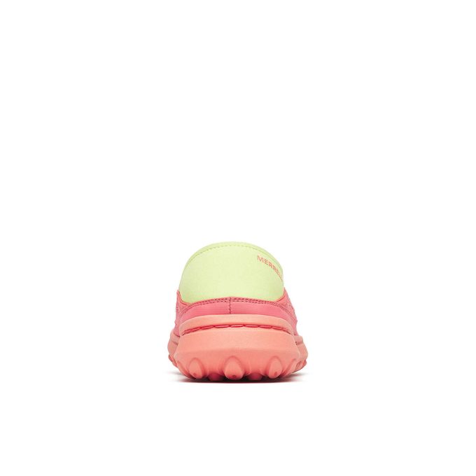 Damhut Moc 2