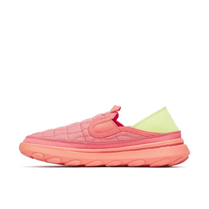 Damhut Moc 2