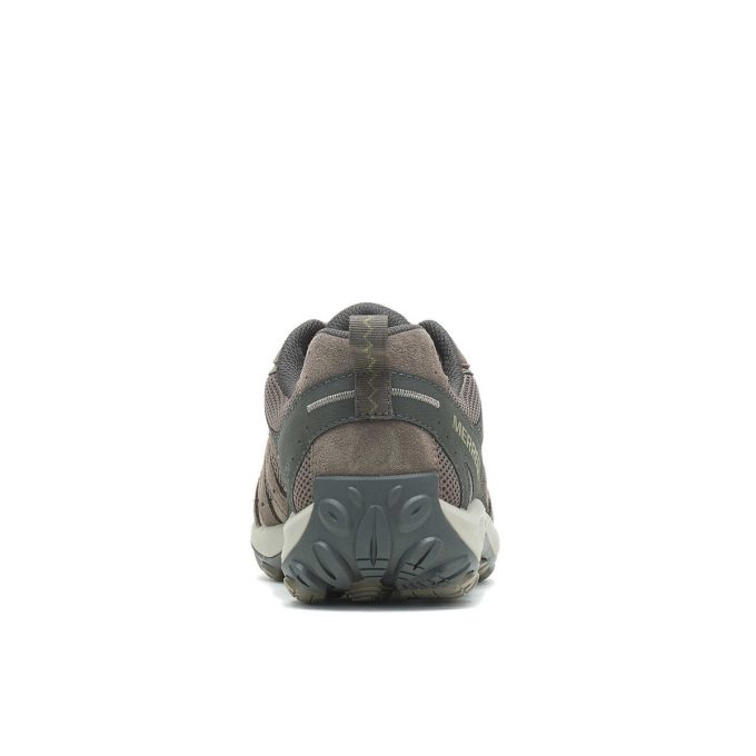 Herr Accentor 3 bred bredd