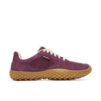 Omlottsneaker dam