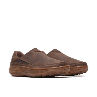 Silvo Moc herr bred bredd